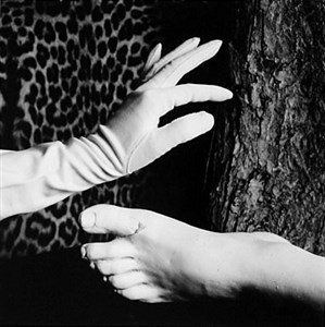 Image description is not available for 2007.080